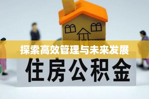 中方探索高效管理与未来发展