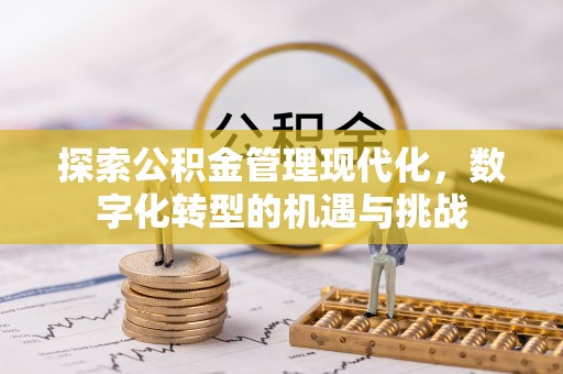 中方探索公积金管理现代化，数字化转型的机遇与挑战