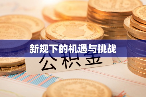 中方新规下的机遇与挑战
