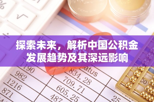 中方探索未来，解析中国公积金发展趋势及其深远影响