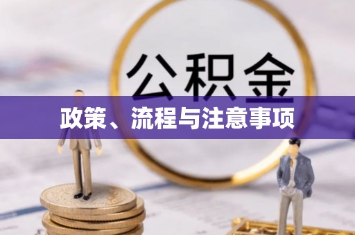 中方政策、流程与注意事项