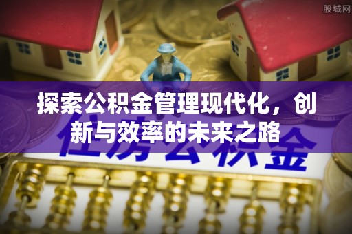 中方探索公积金管理现代化，创新与效率的未来之路