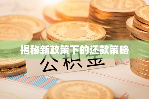 中方揭秘新政策下的还款策略