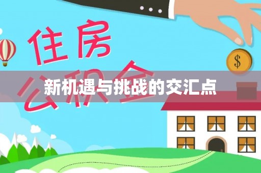 中方新机遇与挑战的交汇点