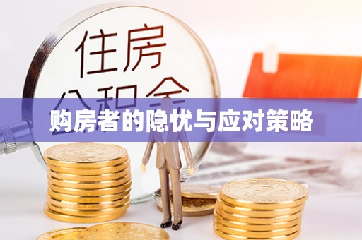 中方购房者的隐忧与应对策略