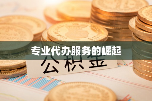 中方专业代办服务的崛起