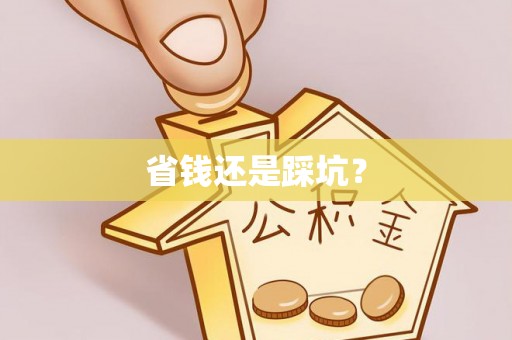 中方省钱还是踩坑？
