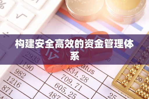 中方构建安全高效的资金管理体系