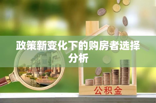 中方政策新变化下的购房者选择分析