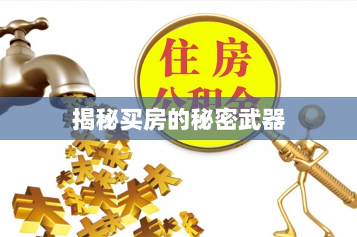 中方揭秘买房的秘密武器