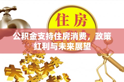 中方公积金支持住房消费，政策红利与未来展望