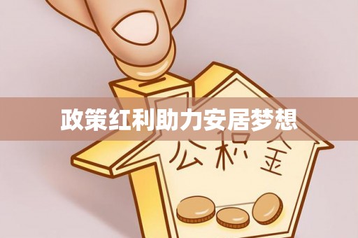 中方政策红利助力安居梦想