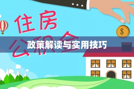 中方政策解读与实用技巧