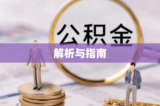 中方解析与指南