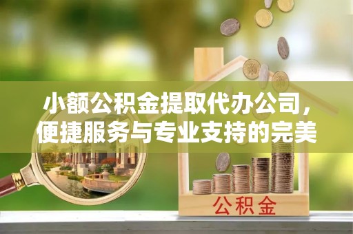 中方小额公积金提取代办公司，便捷服务与专业支持的完美结合