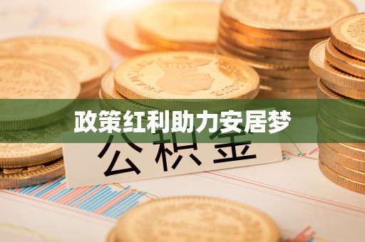 中方政策红利助力安居梦