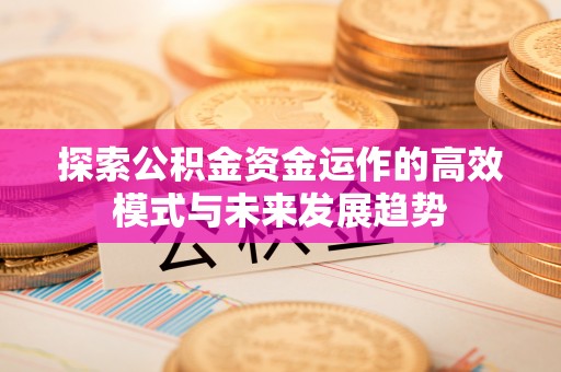 中方探索公积金资金运作的高效模式与未来发展趋势