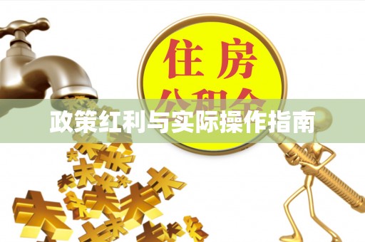 中方政策红利与实际操作指南