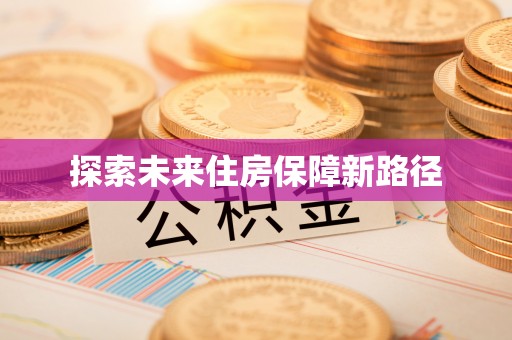 中方探索未来住房保障新路径