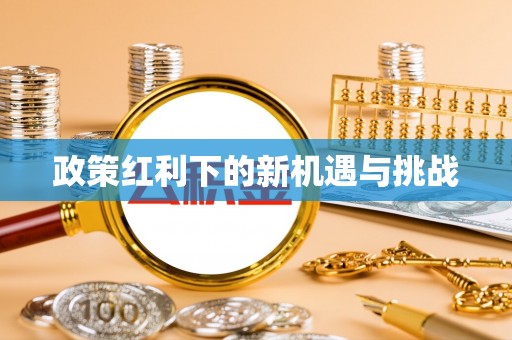 中方政策红利下的新机遇与挑战