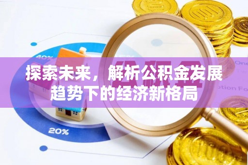 中方探索未来，解析公积金发展趋势下的经济新格局