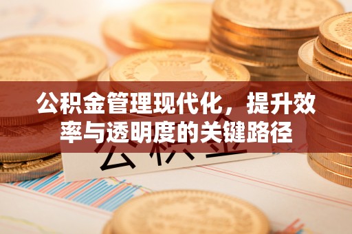 中方公积金管理现代化，提升效率与透明度的关键路径