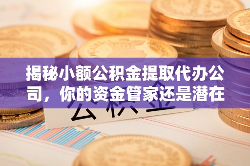 中方揭秘小额公积金提取代办公司，你的资金管家还是潜在风险？