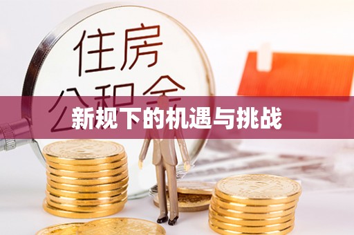 中方新规下的机遇与挑战