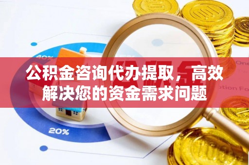 中方公积金咨询代办提取，高效解决您的资金需求问题
