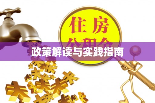 中方政策解读与实践指南
