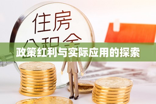 中方政策红利与实际应用的探索