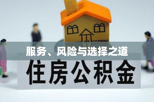 中方服务、风险与选择之道