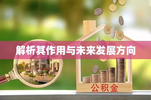 中方解析其作用与未来发展方向