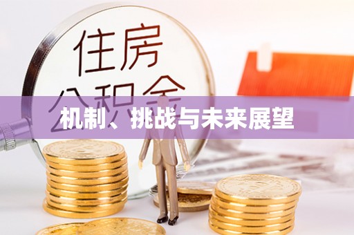 中方机制、挑战与未来展望