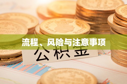 中方流程、风险与注意事项